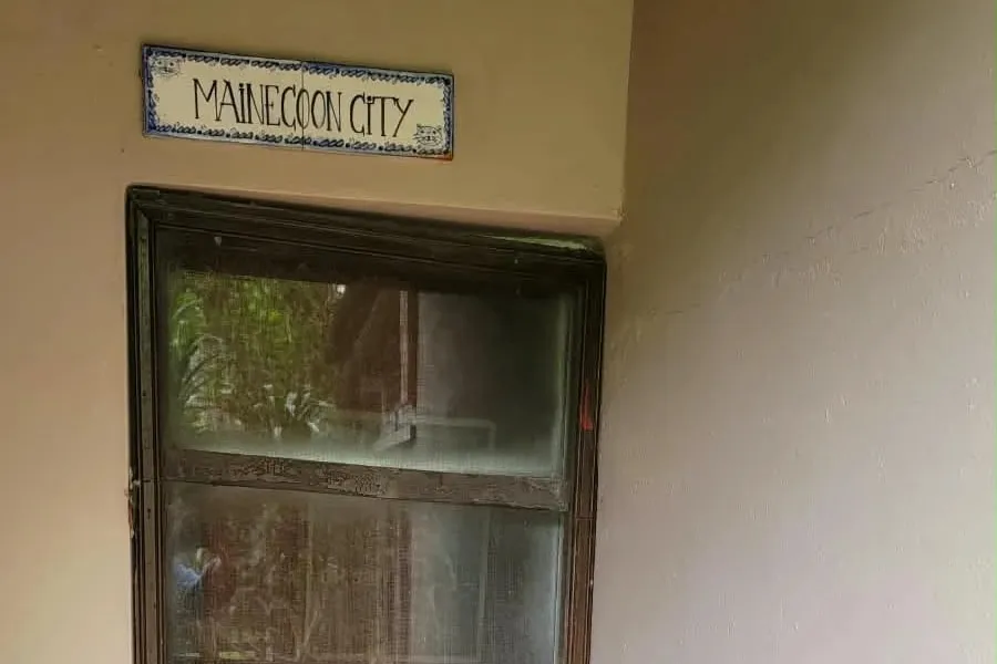 Una puerta de madera con tela mosquitera y, arriba, un cartel de azulejos pintados que dice «Mainecoon City»