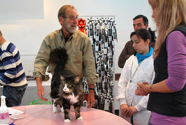 Tekanewas Silvermoon en la exposición de Buenos Aires, 2009