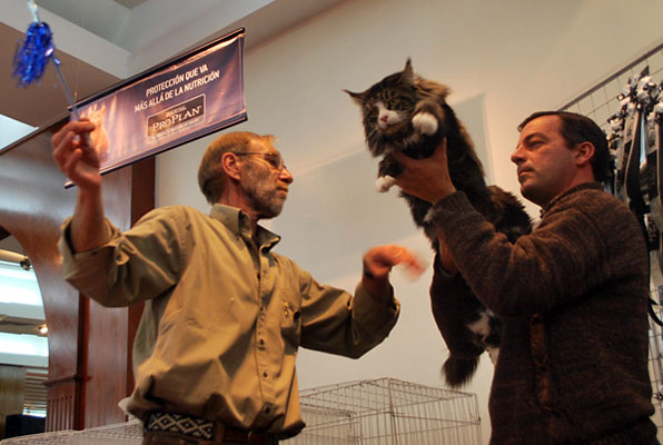Tekanewas Silvermoon en la exposición de Buenos Aires, 2009