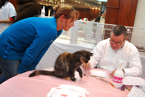 Carravogue en la exposición de Buenos Aires, 2009