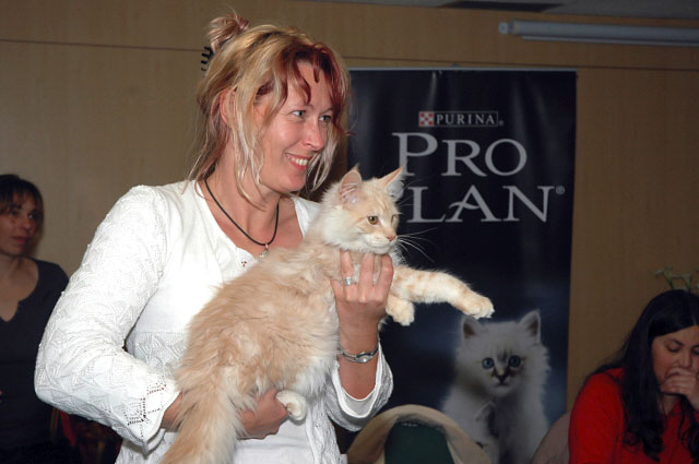 Luciernagas Cayetano en la exposición de Montevideo, 2009