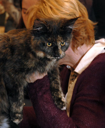 Carravogue en la exposición de Montevideo, 2009