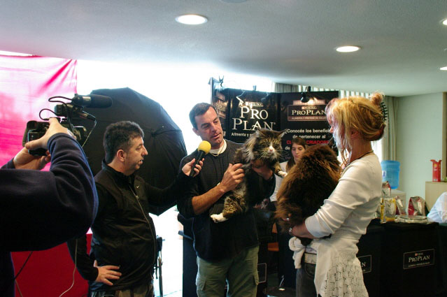 Un momento de la exposición de Montevideo, 2009