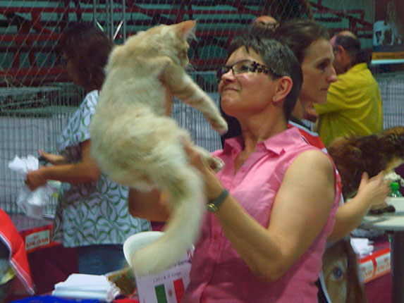 Falcon en la exposición de São Paulo, 2010