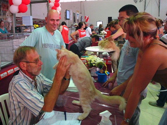 Falcon en la exposición de São Paulo, 2010