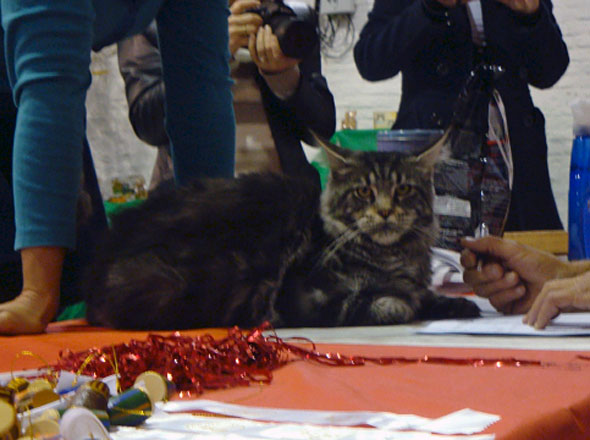 JustCoons Bon Ami en la exposición de Montevideo, 2010