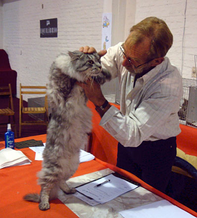 Lesharo of el Dorado en la exposición de Montevideo, 2010