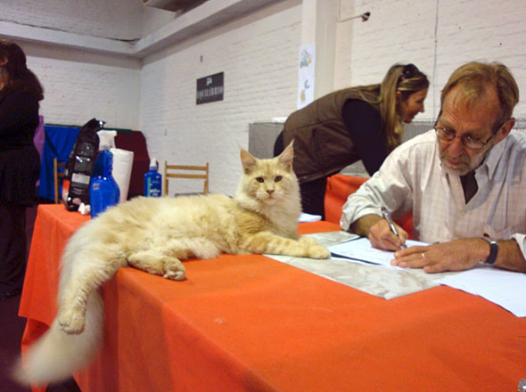 Luciernagas Cayetano en la exposición de Montevideo, 2010