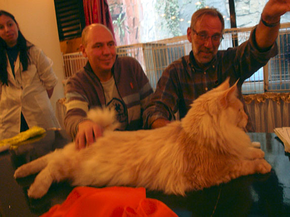 Luciernagas Cayetano en la exposición de Buenos Aires, 2010