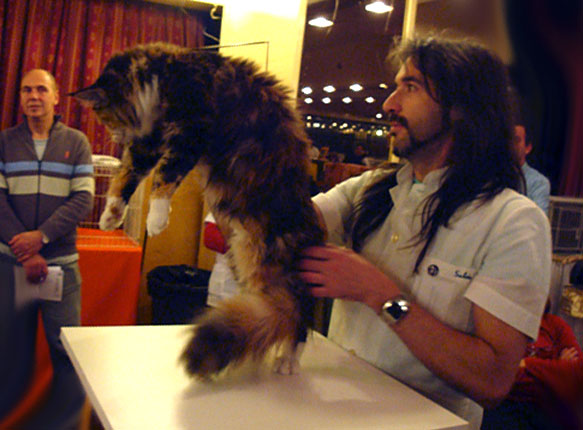 Luciernagas Eclypse en la exposición de Buenos Aires, 2010