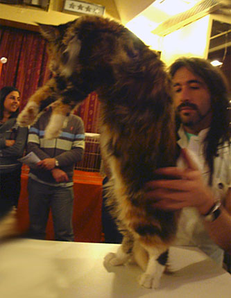 Luciernagas Eclypse en la exposición de Buenos Aires, 2010