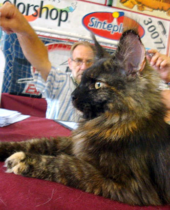 JustCoons Killer Queen en la exposición de Colonia, 2011
