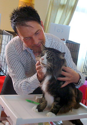 Gatos del criadero en la exposición de Montevideo, 2011