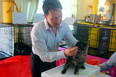 Gatos del criadero en la exposición de Montevideo, 2011