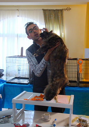 Gatos del criadero en la exposición de Montevideo, 2011