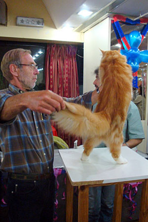 Gatos del criadero en la exposición de Buenos Aires, 2011