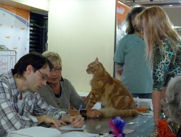 Gatos del criadero en la exposición de Buenos Aires, 2012