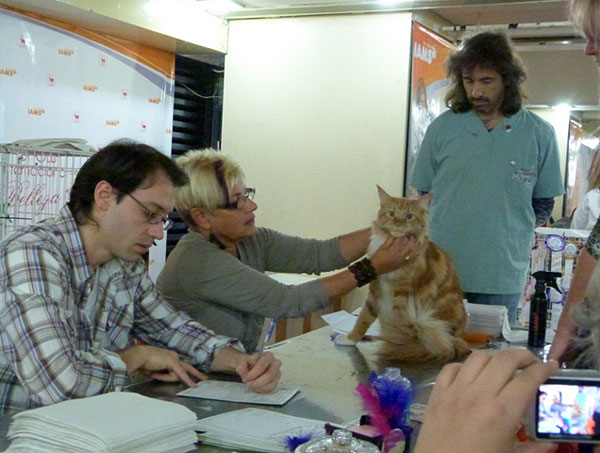 Gatos del criadero en la exposición de Buenos Aires, 2012