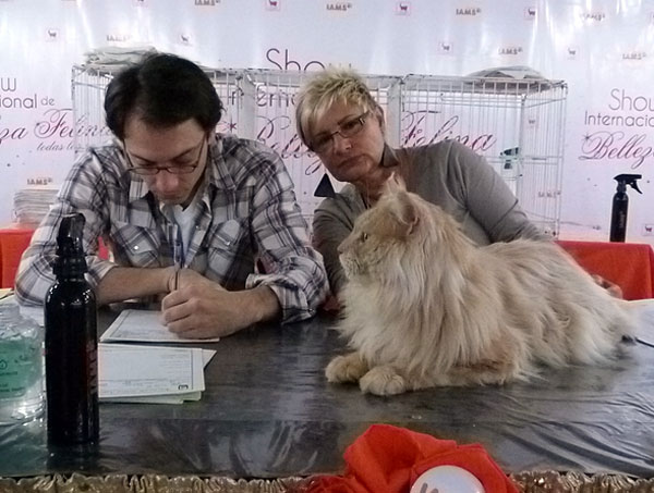 Gatos del criadero en la exposición de Buenos Aires, 2012