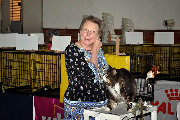 Gatos del criadero en la exposición de Montevideo, 2013