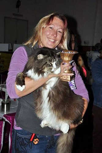 Gatos del criadero en la exposición de Montevideo, 2013