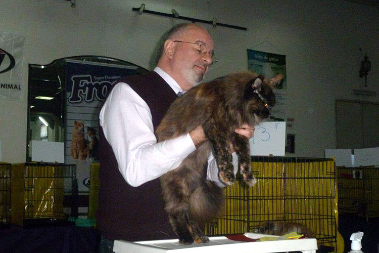 Gatos del criadero en la exposición de Montevideo, 2013