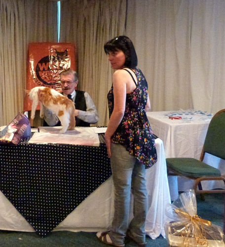 JustCoons Lux Lacey en la exposición de Montevideo, 2014