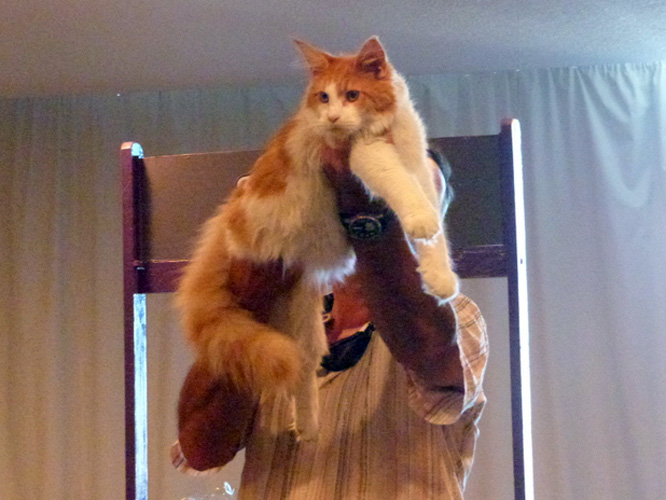 JustCoons Lux Lacey en la exposición de Montevideo, 2014