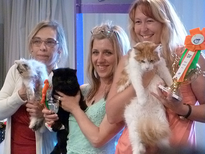 JustCoons Lux Lacey en la exposición de Montevideo, 2014