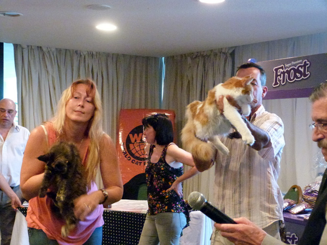 JustCoons Lil' Marleen en la exposición de Montevideo, 2014