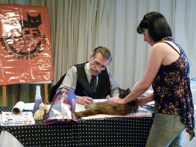 JustCoons Lil' Marleen en la exposición de Montevideo, 2014