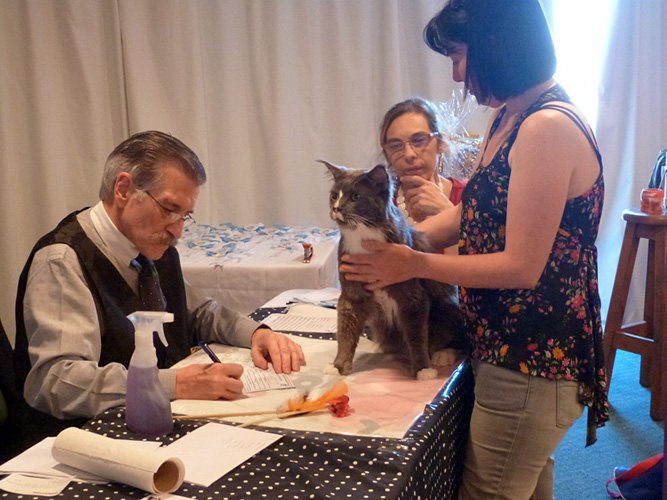 JustCoons Pas de Deux en la exposición de Montevideo, 2014