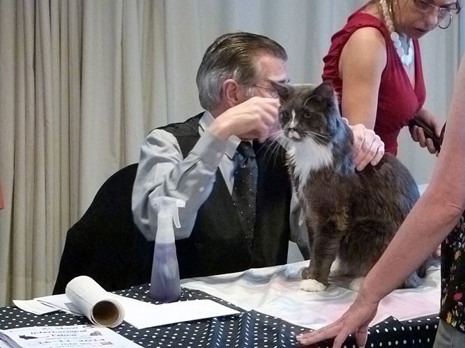 JustCoons Pas de Deux en la exposición de Montevideo, 2014