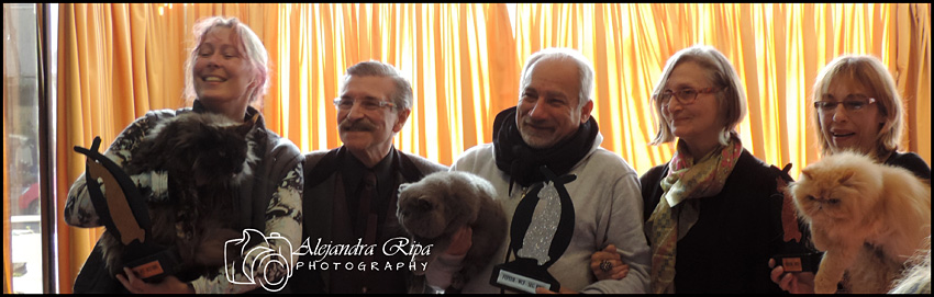 Gatos del criadero en la exposición de Colonia, 2015