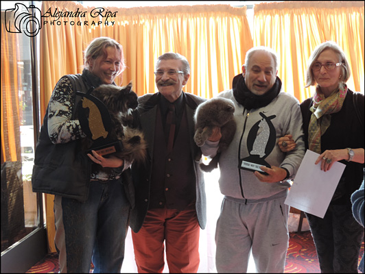 Gatos del criadero en la exposición de Colonia, 2015