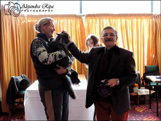 Gatos del criadero en la exposición de Colonia, 2015