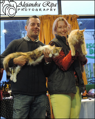 Gatos del criadero en la exposición de Colonia, 2015
