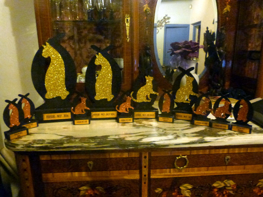 Gatos del criadero en la exposición de Colonia, 2015