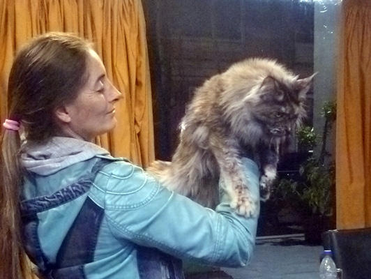 Gatos del criadero en la exposición de Colonia, 2015