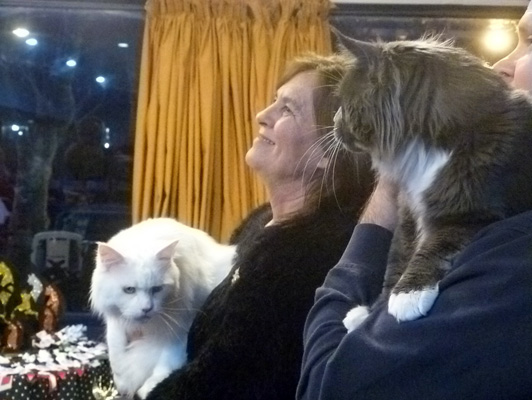 Gatos del criadero en la exposición de Colonia, 2015