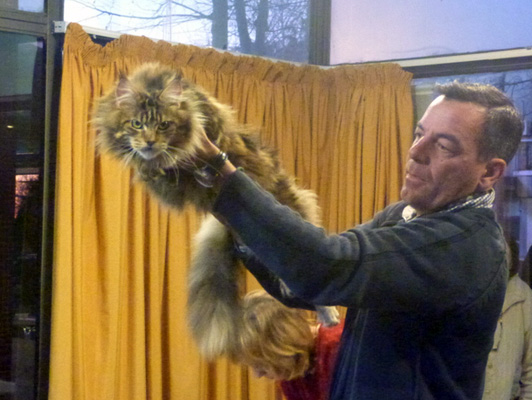 Gatos del criadero en la exposición de Colonia, 2015
