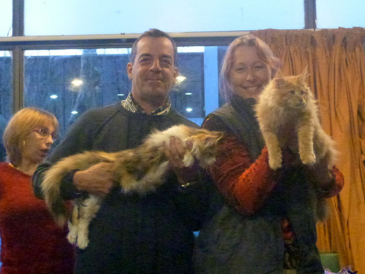Gatos del criadero en la exposición de Colonia, 2015