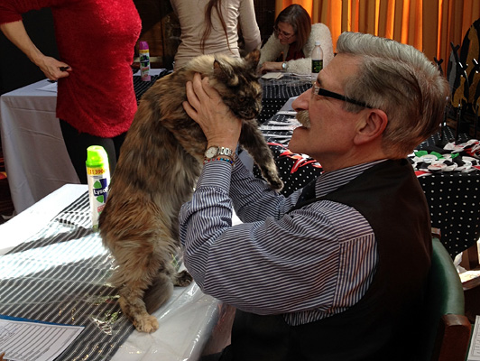 Gatos del criadero en la exposición de Colonia, 2015