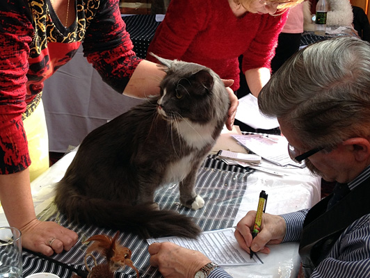 Gatos del criadero en la exposición de Colonia, 2015