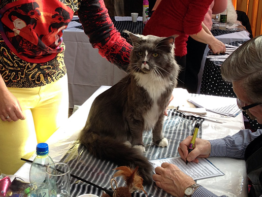 Gatos del criadero en la exposición de Colonia, 2015