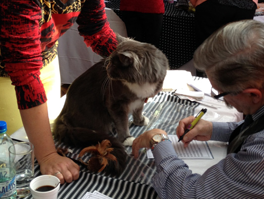 Gatos del criadero en la exposición de Colonia, 2015
