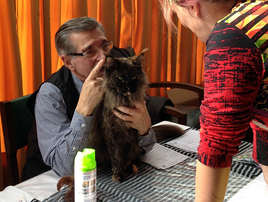 Gatos del criadero en la exposición de Colonia, 2015