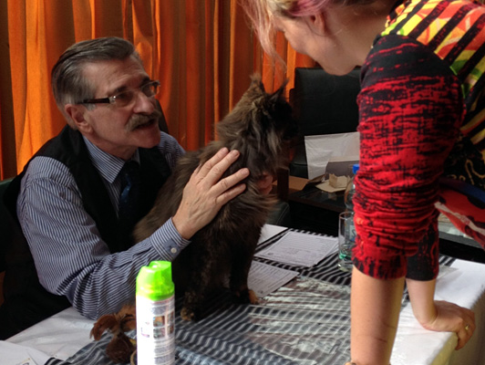Gatos del criadero en la exposición de Colonia, 2015