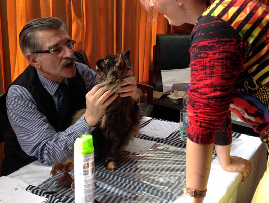 Gatos del criadero en la exposición de Colonia, 2015