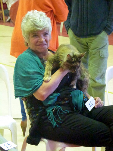 Gatos del criadero en la exposición de Mar del Plata, 2015